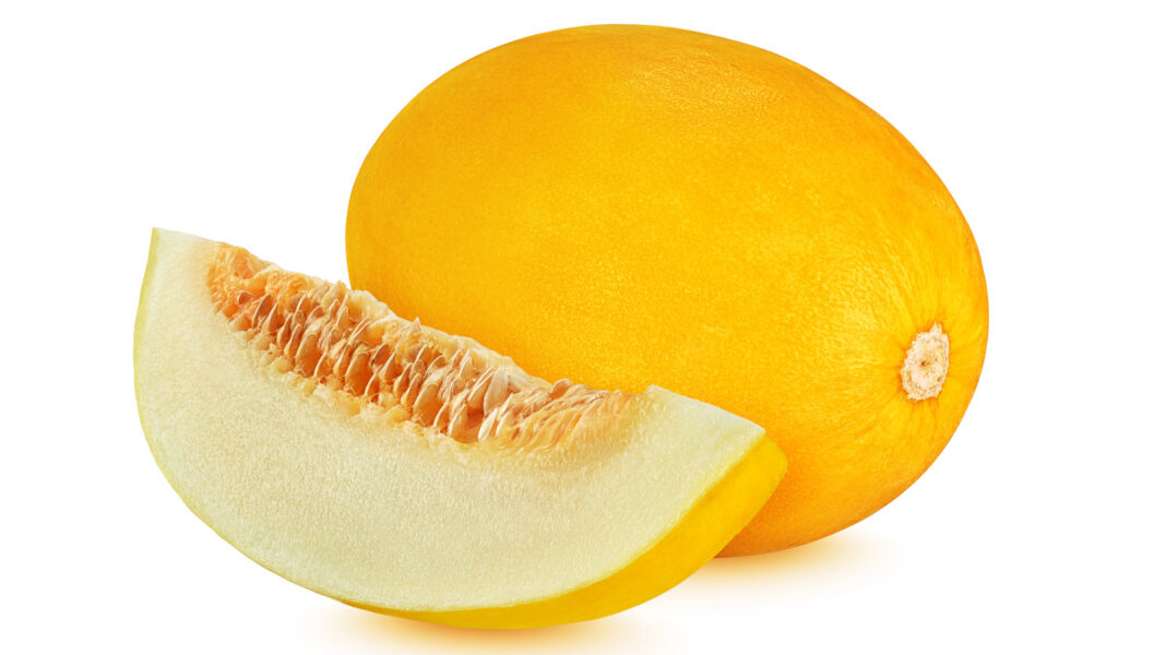 canary melon