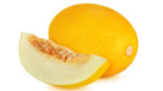 canary melon