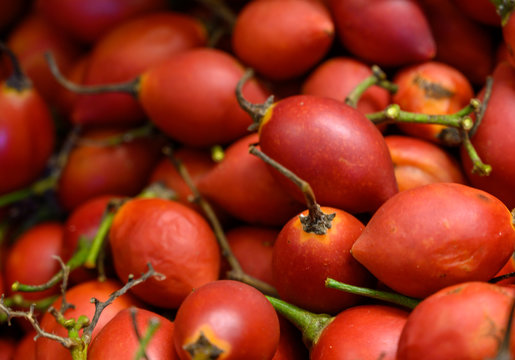 tomate de arbol